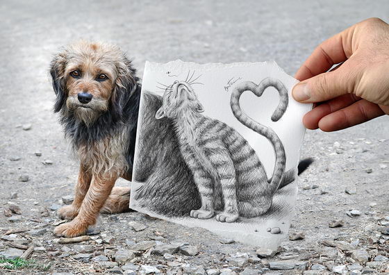 Pencil Vs Camera: Animal Series by Ben Heine