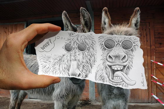 Pencil Vs Camera: Animal Series by Ben Heine