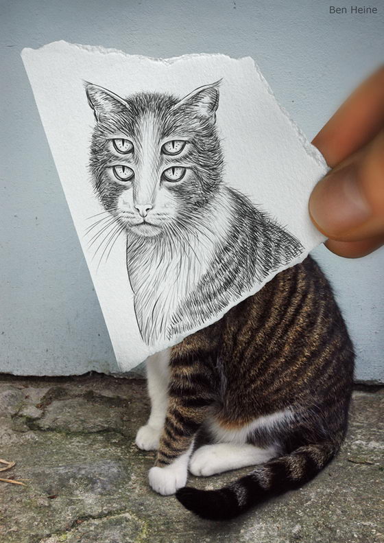 Pencil Vs Camera: Animal Series by Ben Heine