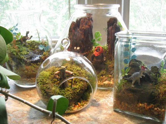 Star Wars Terrariums: a Fun-filled Adventure in Globe