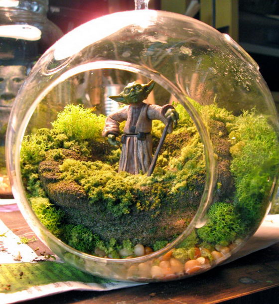 Star Wars Terrariums: a Fun-filled Adventure in Globe