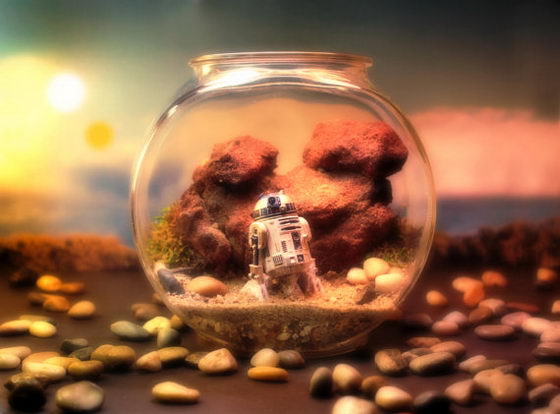 Star Wars Terrariums: a Fun-filled Adventure in Globe