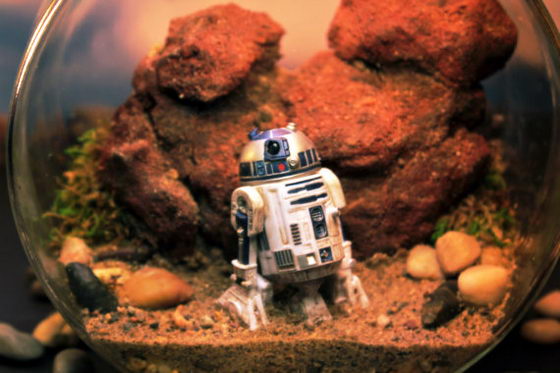 Star Wars Terrariums: a Fun-filled Adventure in Globe