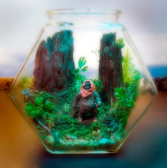 Star Wars Terrariums: a Fun-filled Adventure in Globe