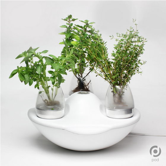 Pod Fogponics System: a Modern Indoor Planter