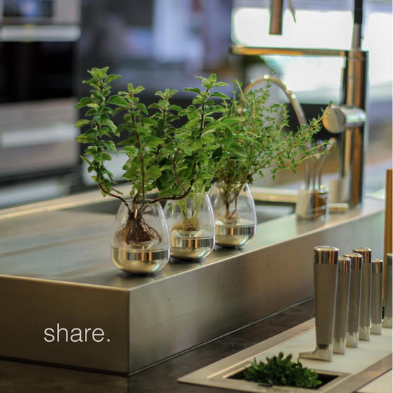 Pod Fogponics System: a Modern Indoor Planter