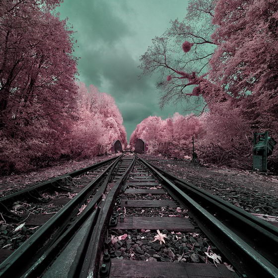 Magical Land: Breathtaking Infrared Landscapes Photography by David Keochkerian