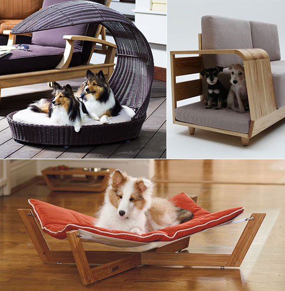 10 Cool Pet Furniture Designs for Pet Lover