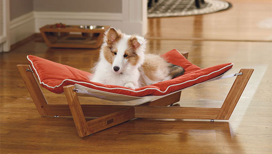 10 Cool Pet Furniture Designs for Pet Lover