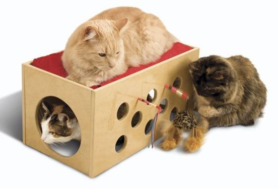 10 Cool Pet Furniture Designs for Pet Lover