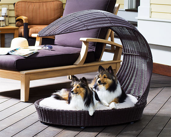 10 Cool Pet Furniture Designs for Pet Lover - Design Swan