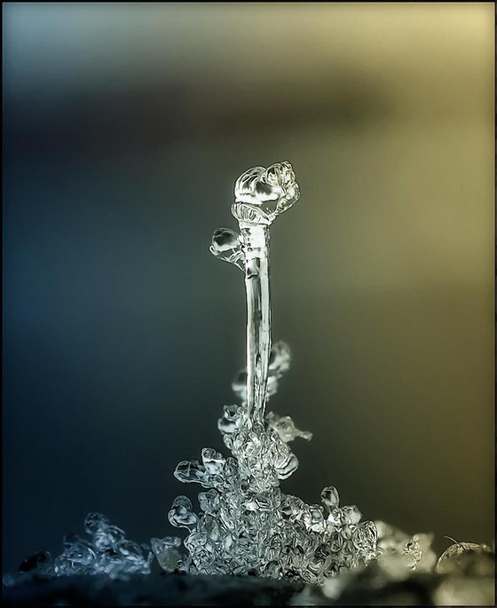 Incredible Snowflake Macro Photography