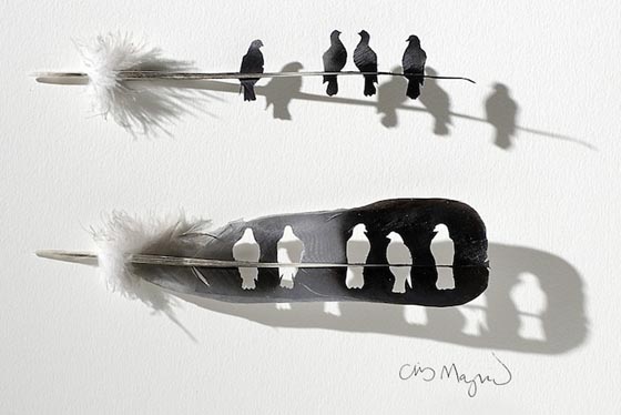 Get Birds out of Feather: Creative Feature Art by Chris Maynard