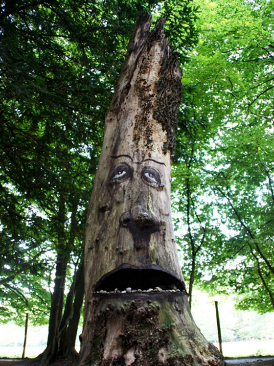 The Tree Project: Expressive Tree Faces on Rotting Trunks