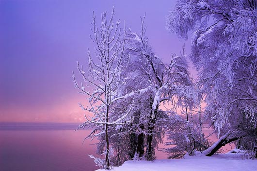 Winter Wonderland: 18 Breathtaking Winter Photography