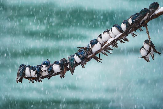 Winter Wonderland: 18 Breathtaking Winter Photography