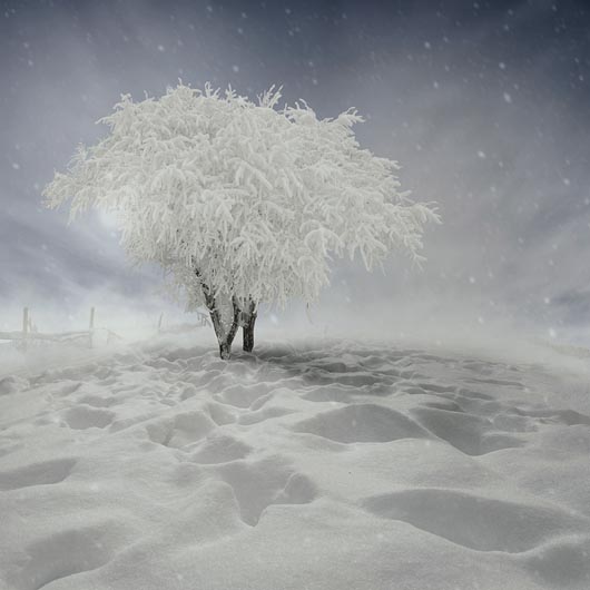 Winter Wonderland: 18 Breathtaking Winter Photography