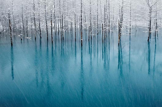 Winter Wonderland: 18 Breathtaking Winter Photography