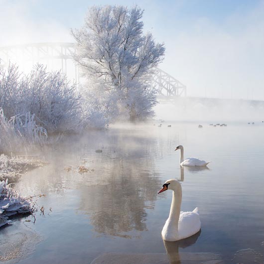 Winter Wonderland: 18 Breathtaking Winter Photography