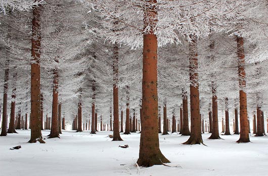 Winter Wonderland: 18 Breathtaking Winter Photography