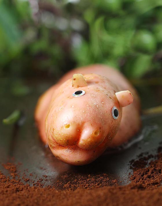 Playing with food: Cute Food Animal by Vanessa Dualib
