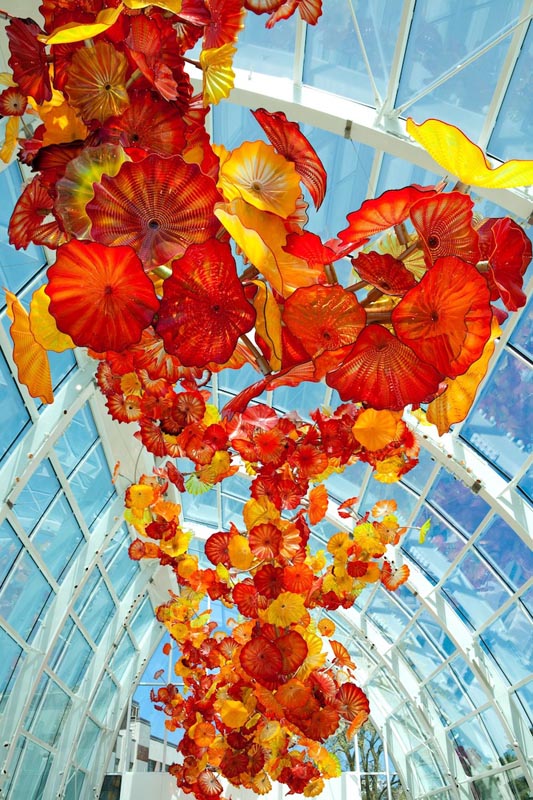 Chihuly Garden and Glass: Contemporary Art Glass Sculpture Exhibition
