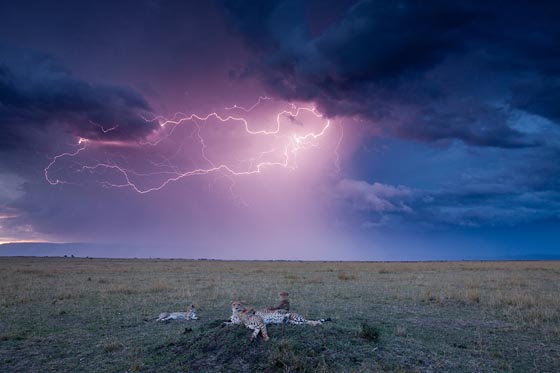 15 Stunning Lightning Photographs