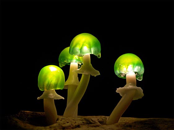 The Great Mushrooming: Interesting LED Mushroom Light