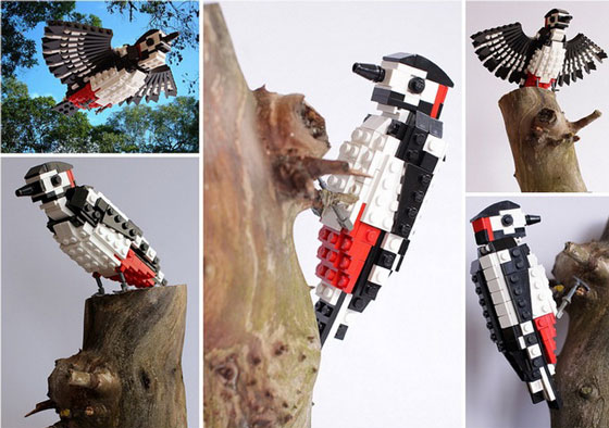 LEGO Bird: Cute Birds Made from LEGO Bricks by Thomas Poulsom