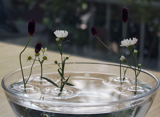 Optical Illusion: Floating Vase - RIPPLE