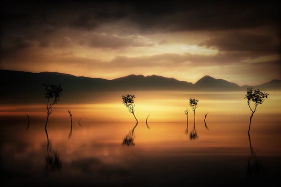 15 Absolutely Beautiful Silhouette Photography