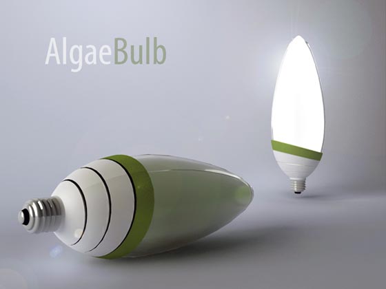 AlgaeBulb: a Green Power Light Bulb by Gyula Bodonyi