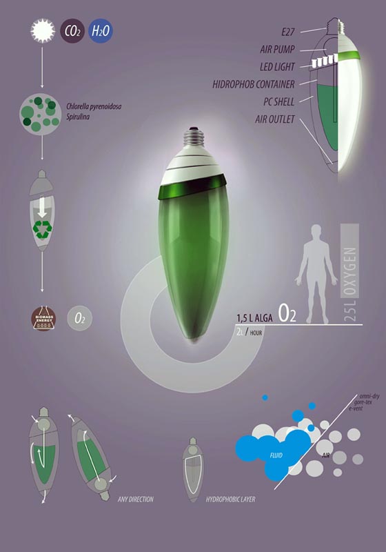 AlgaeBulb: a Green Power Light Bulb by Gyula Bodonyi