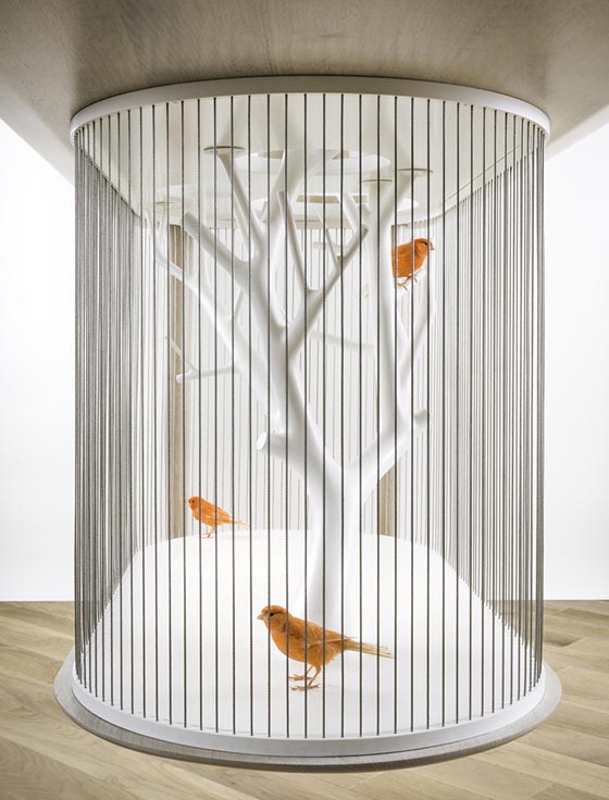 Cage Archibird: a Modern Bird Cage Doubles as a Table – Design Swan