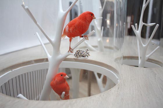 Cage Archibird: a Modern Bird Cage Doubles as a Table