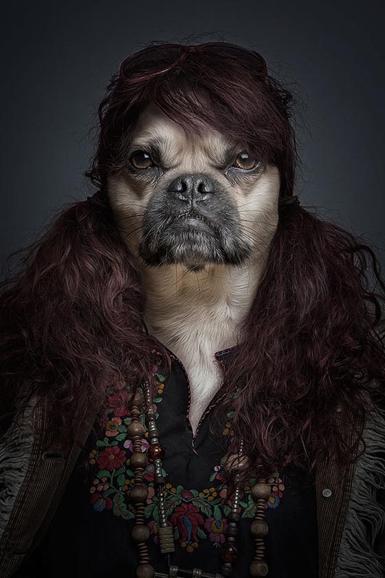 Underdog: How Dog Looks Like if They Dressed up Like Human