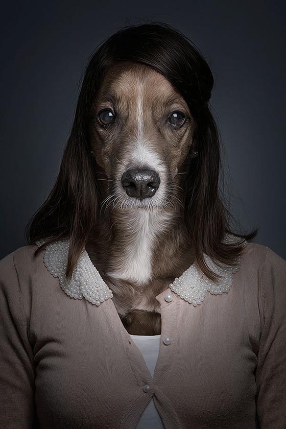 Underdog: How Dog Looks Like if They Dressed up Like Human