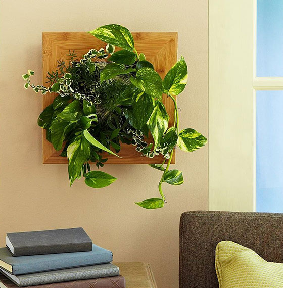 7 Cool Indoor Garden Systems