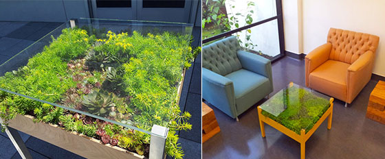 7 Cool Indoor Garden Systems