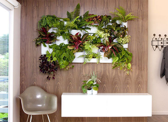 7 Cool Indoor Garden Systems