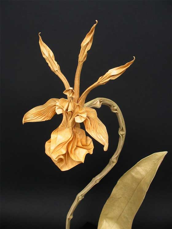 Stunning Origami Work by Nguyen Hung Cuong