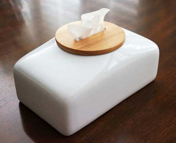 7 Cool and Unusual Tissue Box / Tissue Dispenser