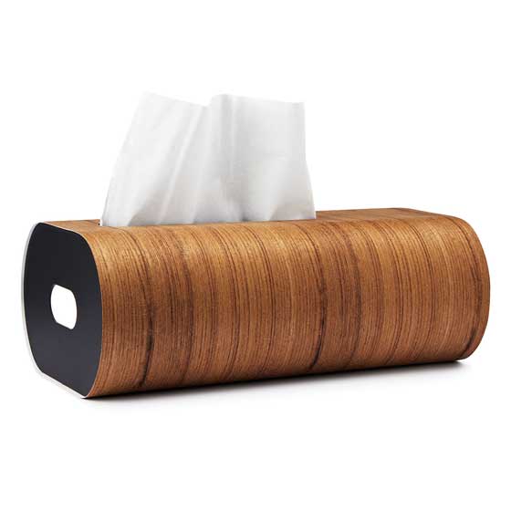 7 Cool and Unusual Tissue Box / Tissue Dispenser