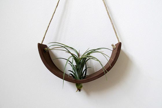 11 Cool Ideas to Create Air Plant Zen Garden