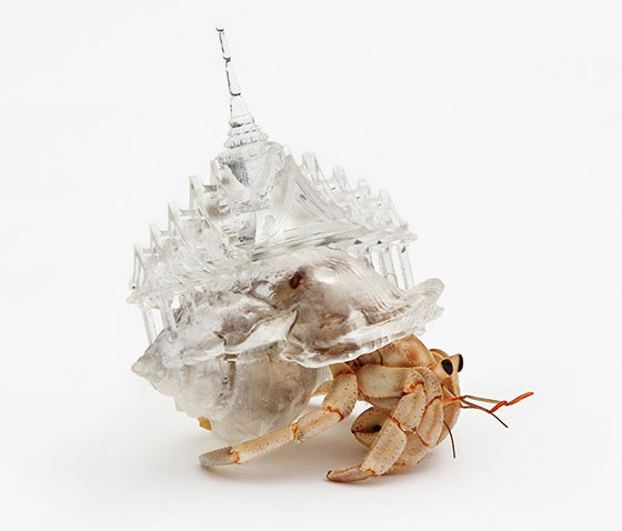 Detailed Crafted Plastic Shelter for Hermit Crab
