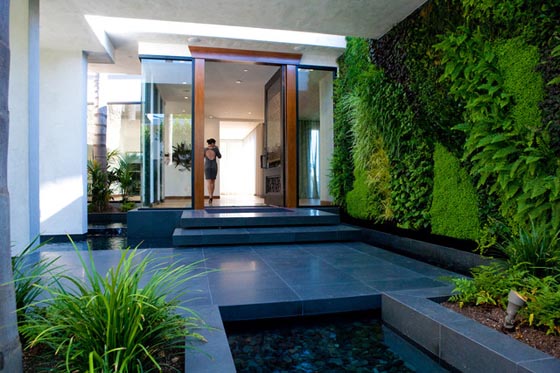 12 Cool Ideas to Have Living Wall at Home