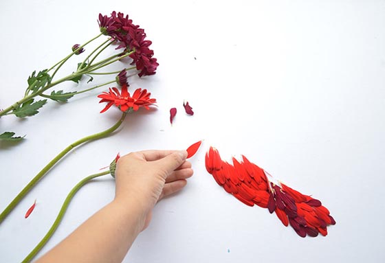 Exotic Birds Made of Flower Petals by Hong Yi