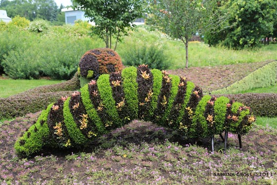 Mosaïcultures Internationales de Montréal: 2013 Monumental Plant Sculptures