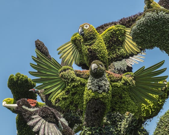 Mosaïcultures Internationales de Montréal: 2013 Monumental Plant Sculptures