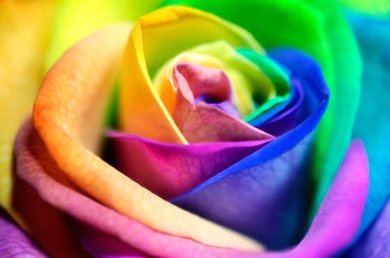 20 Beautiful Pictures in Rainbow Color